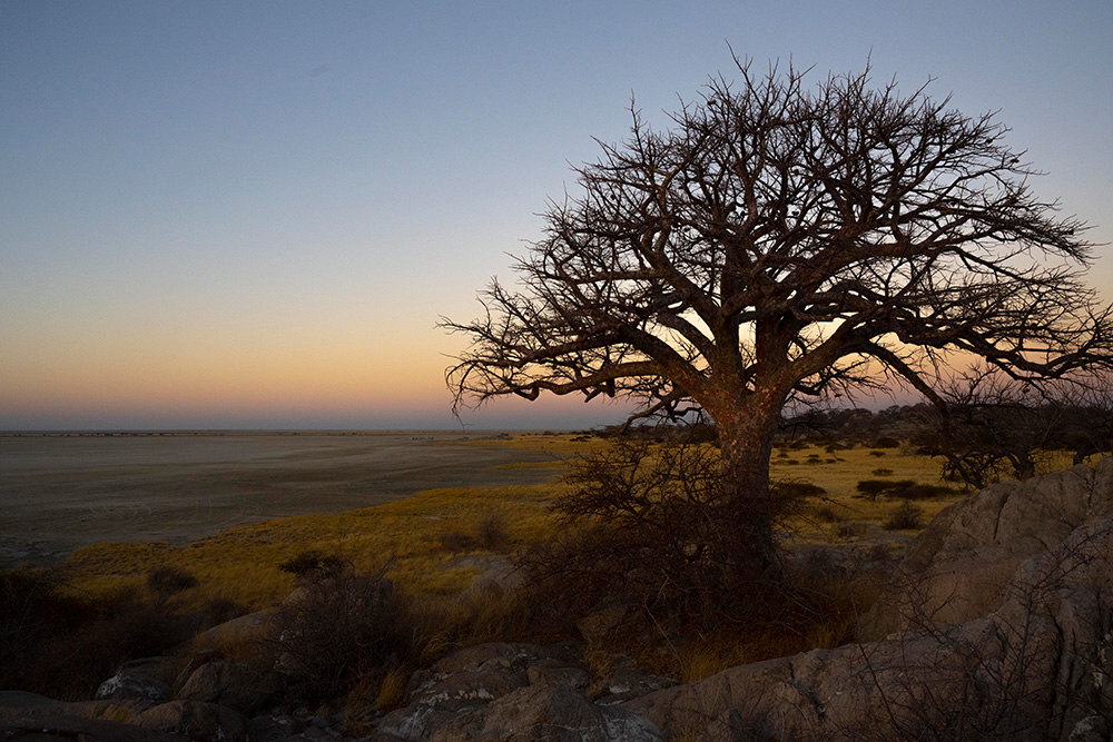 photo of Kubu Island at sunrise