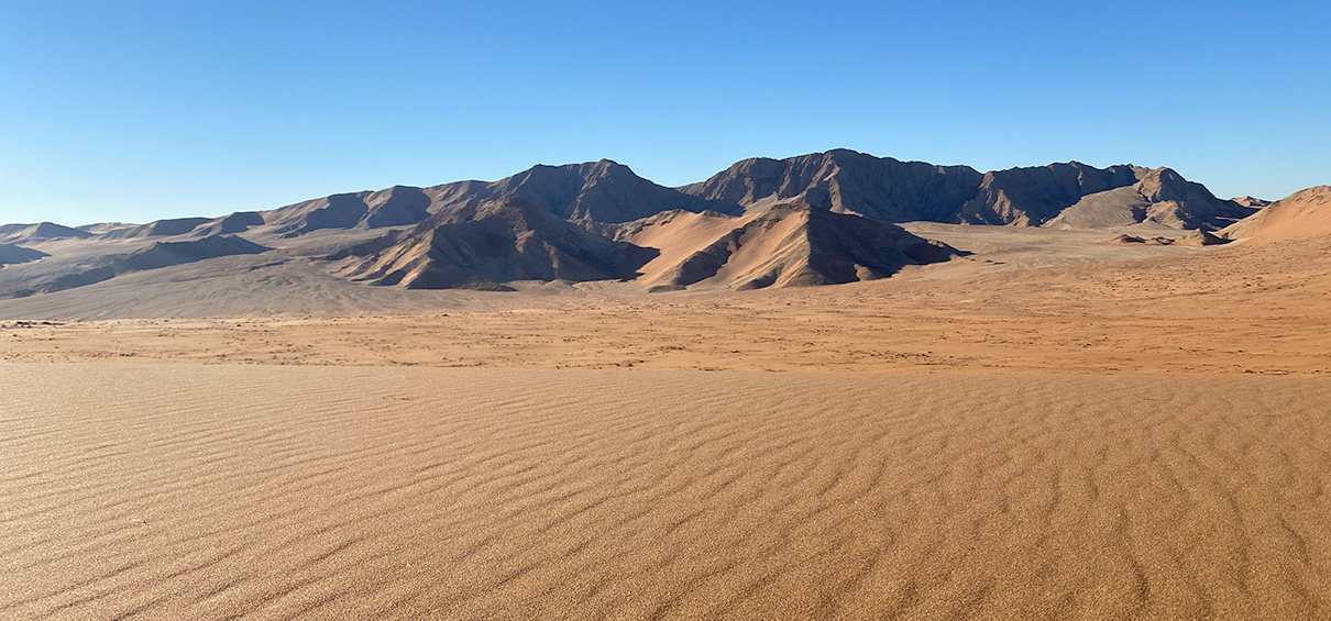 Namibian Desert
