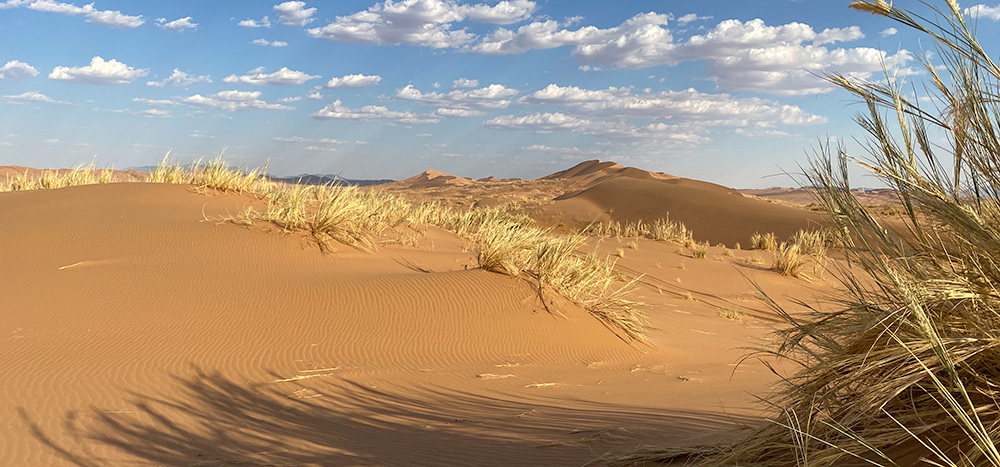 Namibian Desert