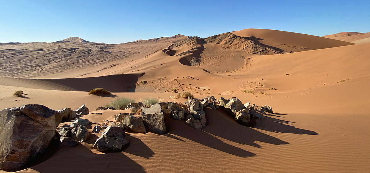 Rocks in the foreground with desert dunes in the background